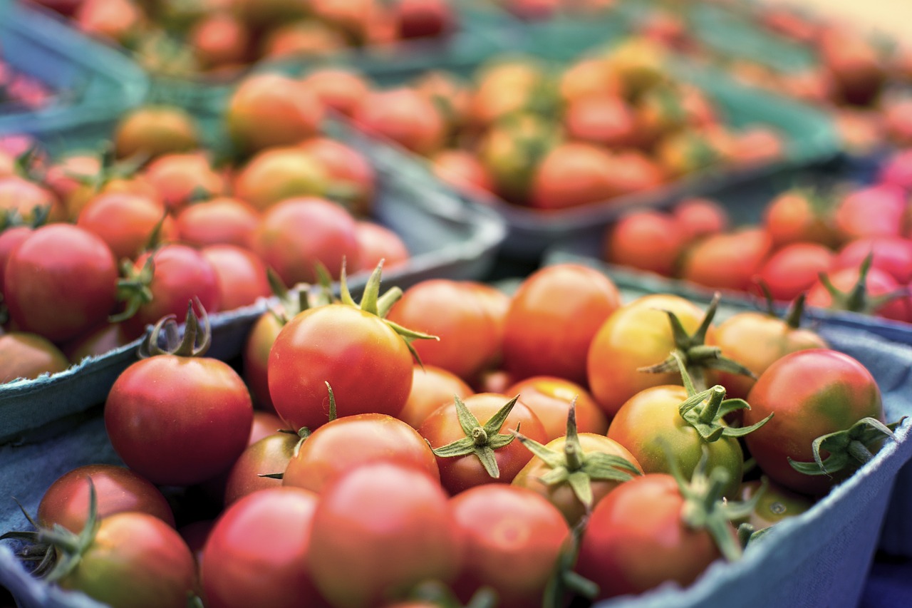 Tomates em plateleiras de supermercado.